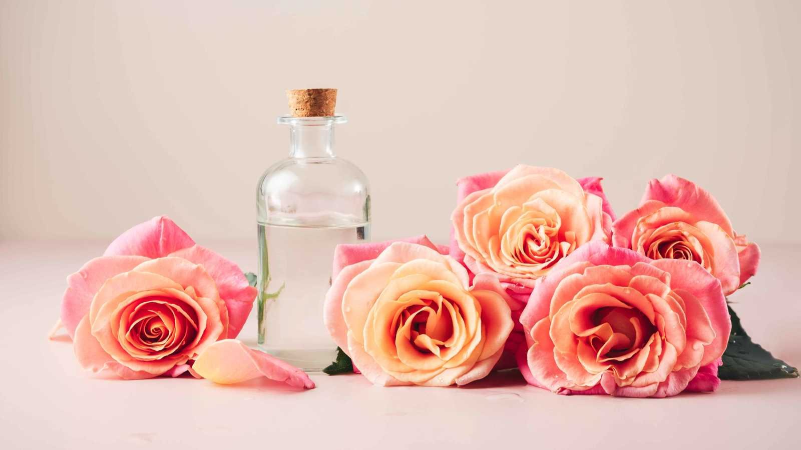 أقنعة ماء الورد … سرّ الجمال الطبيعي لبشرة نضرة ومشرقة