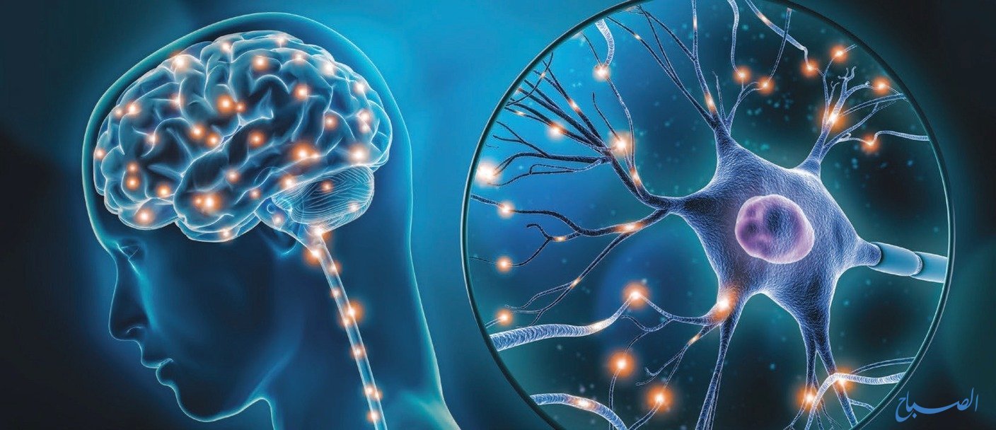 التصلب اللويحي: الدليل الشامل للأسباب والأعراض