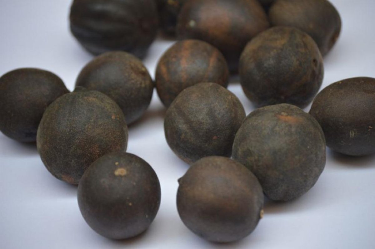 فوائد الليمون الأسود للقولون وصحة الجهاز الهضمي