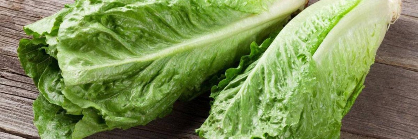 فوائد تناول الخس يوميًا